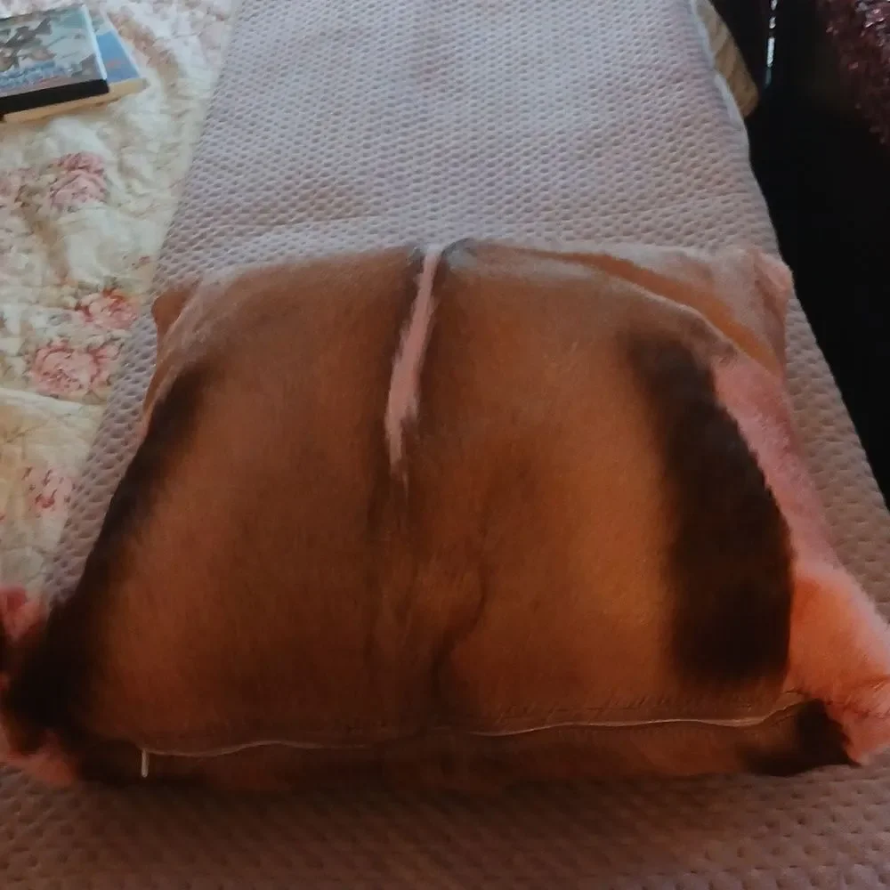 Set of Tergus Pillows